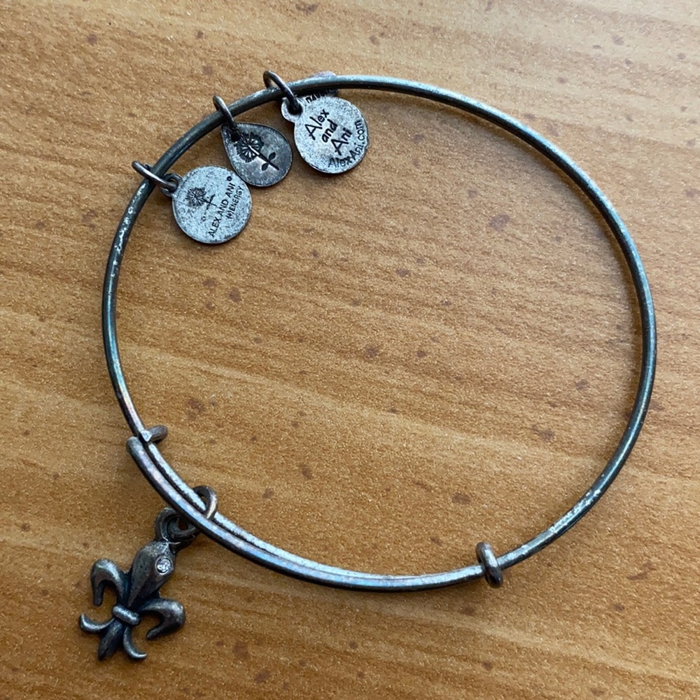 Alex & Ani Charm Bracelet
